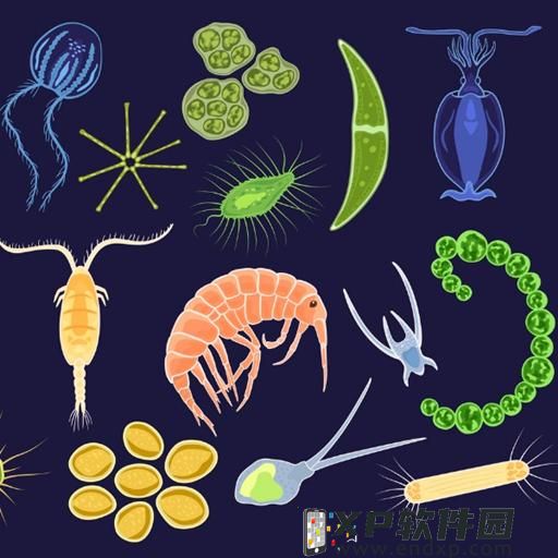 原神草神怎样样 草神强度解析