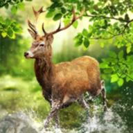 《暗黑破坏神4》凝血之具有什么用