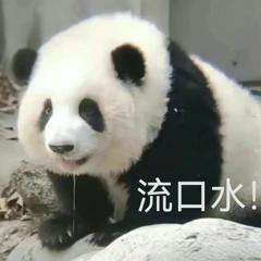 《秘境傳說:神木遺跡》×《數碼寶貝》合作活動今日登場